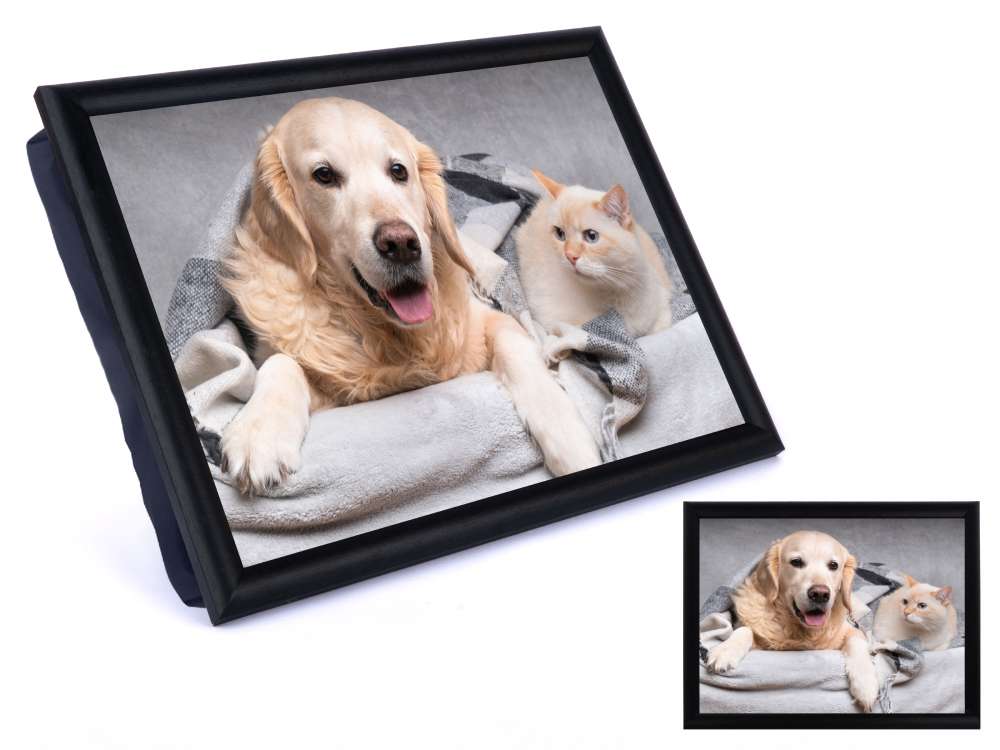 Plateau coussin avec une illustration de chien et de chat